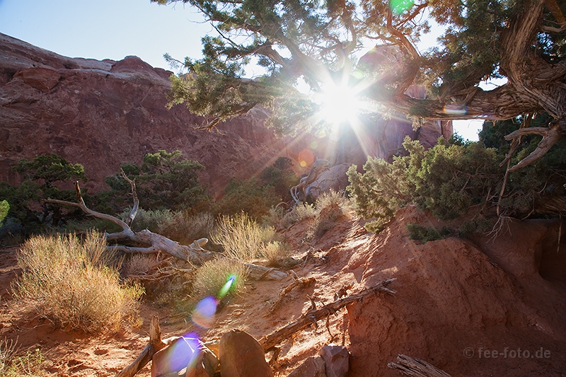 Good Morning Sunshine